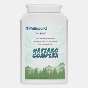 NattakoComplex