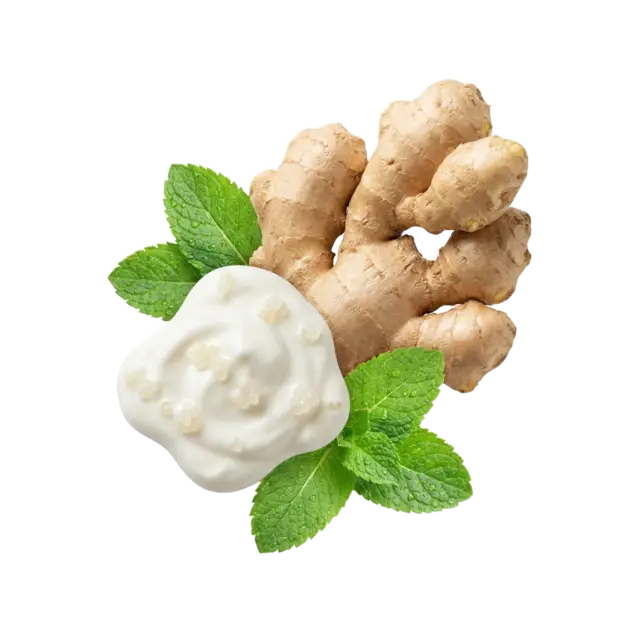 Ginger, live-culture yogurt and mint